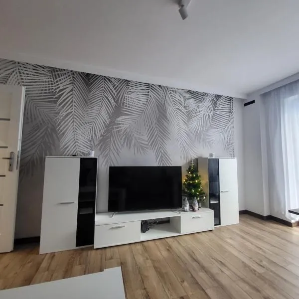 Mieszkanie centrum、リジバルク・バルミンスキのホテル