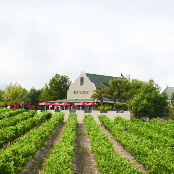 Skilpadvlei Wine Farm