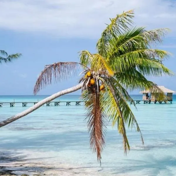 Sunset Hill Lodge, hotel v destinaci Bora Bora