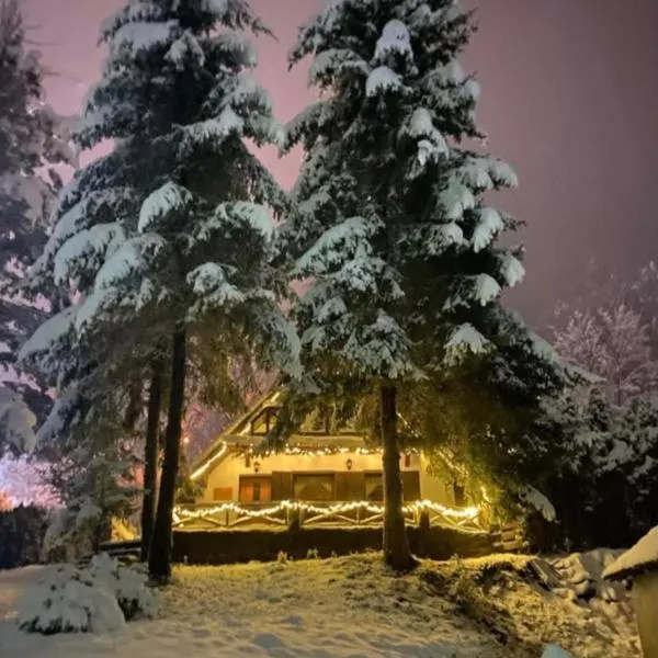 Vila Krnjević Jastrebac, hotel in Buci