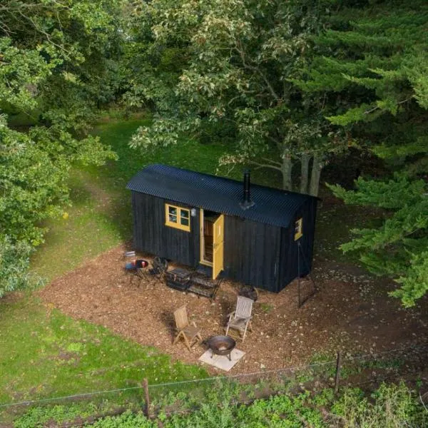 Secret Paddock Shepherds Hut, Hotel in Hollesley