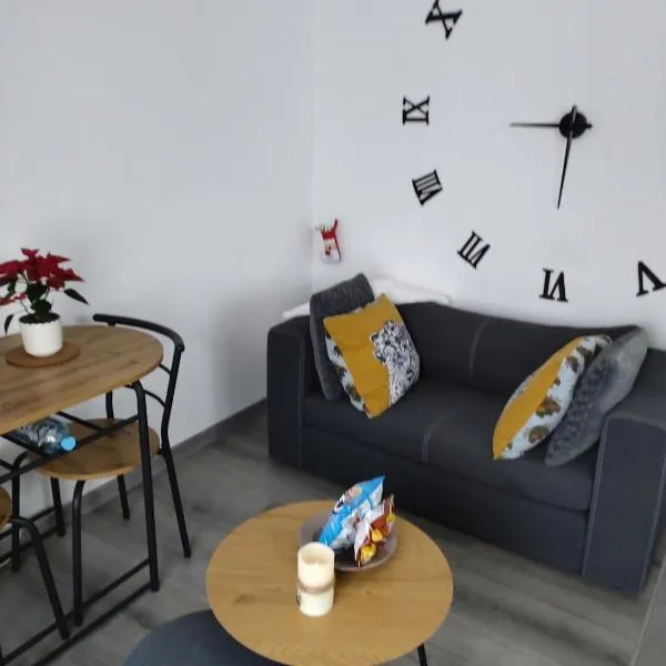 Bel appartement entier F1 à 5 mn de Mulhouse, hotel in Zillisheim
