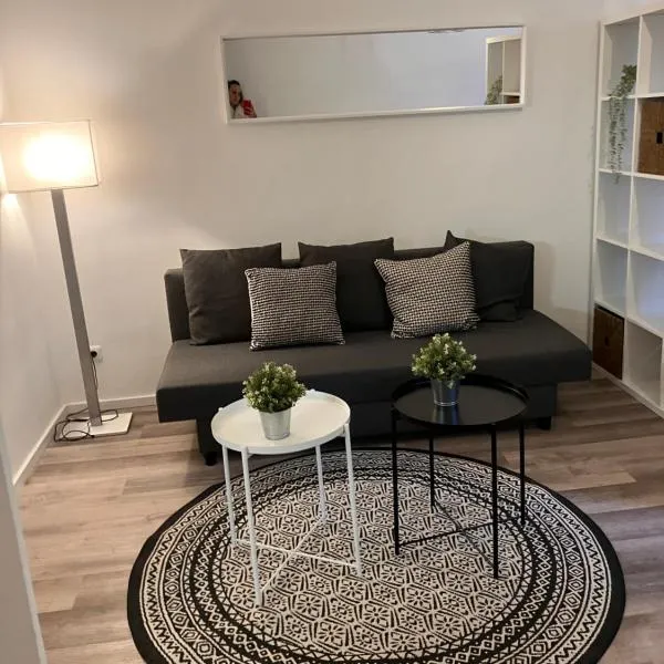 A&S Appartement Munich City, hotel in Munich