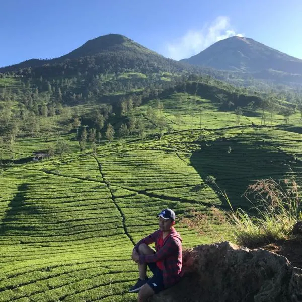 Moza House Wonosobo, hotel in Wonosobo