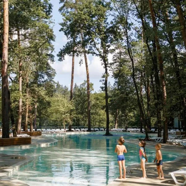 Парк-Готель "Золотий Пляж", hotel in Orlovshchina