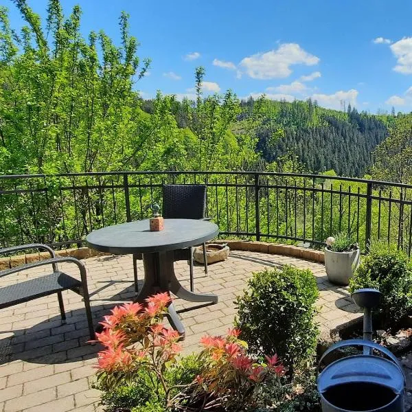 Ferienwohnung Voege, hotel in Schmallenberg