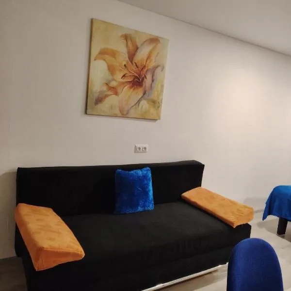 Jolsva, Hotel in Rokiškis