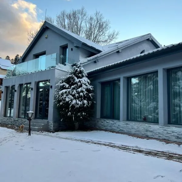 Luxurious Villa, hotel em Sinaia