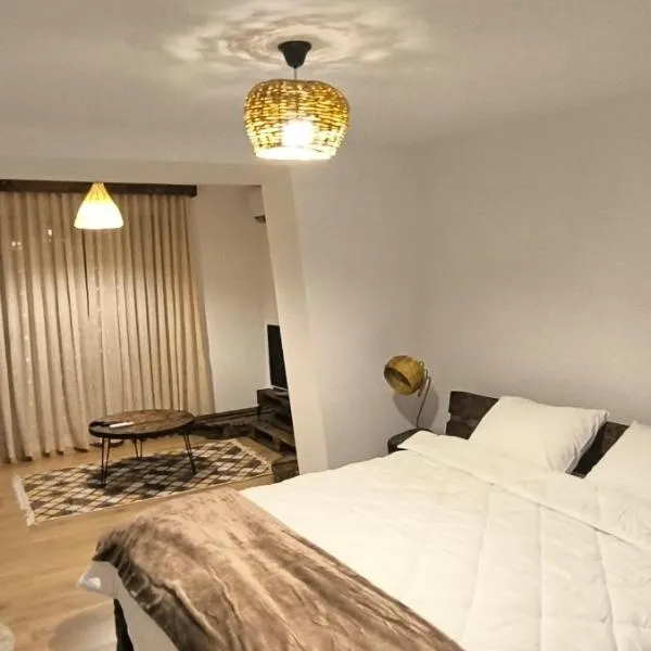 AB Guest House，位于波格拉德茨的酒店