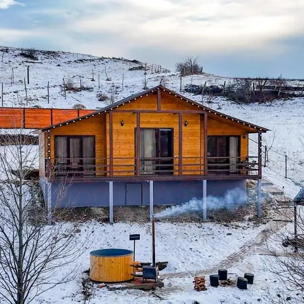 Grili Chero, hotel in Dushetʼi