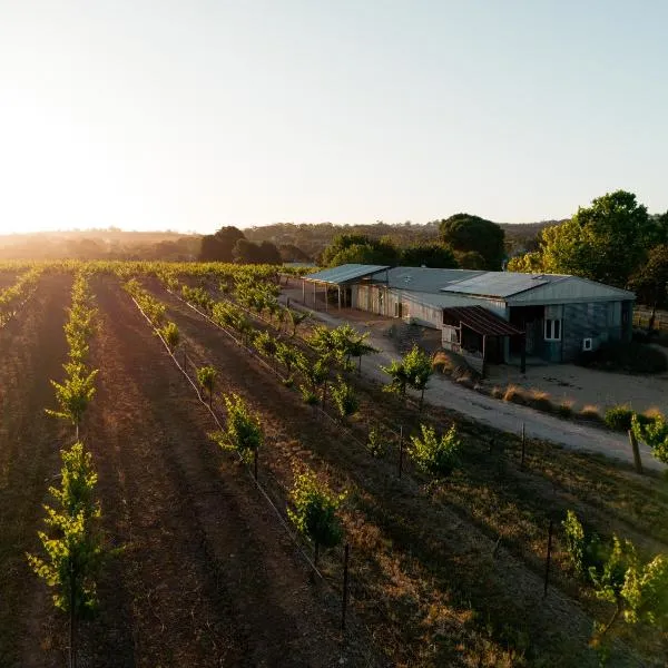 Bed in a Shed Vineyard Stay, hotel in Watervale