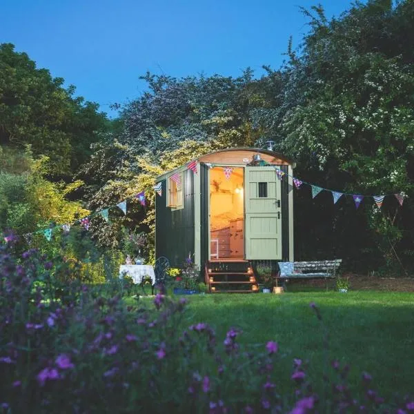 Elderflower Hut, Hotel in Port Isaac
