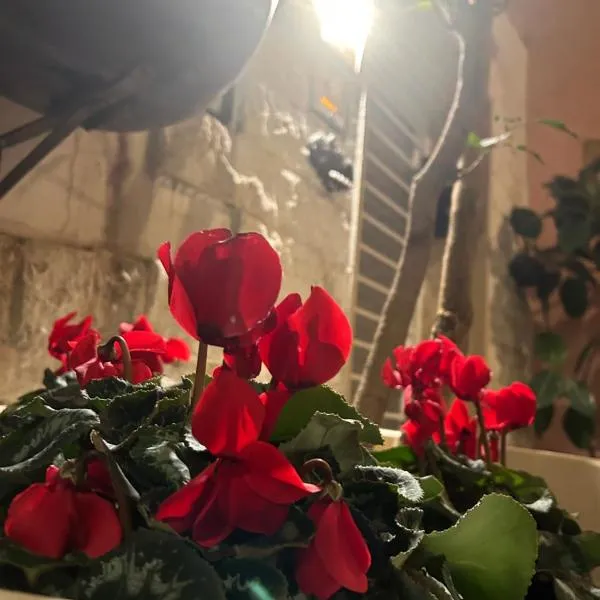 B&B Bari Vecchia R，巴里的飯店