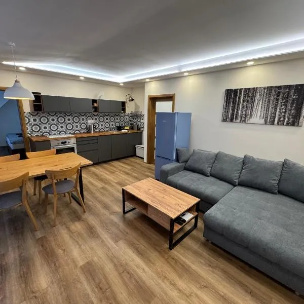 Apartman 7 Plesivec, Hotel in Abertamy