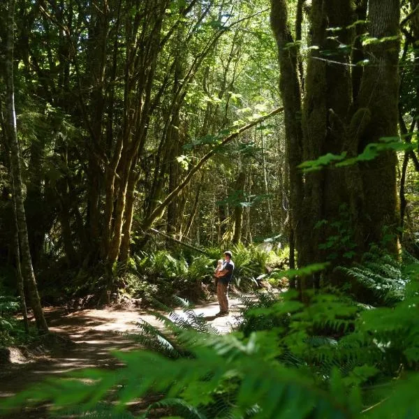 Starlight Olympic Glamping, hotel in Port Angeles