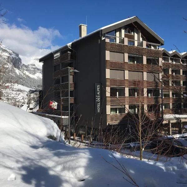 Hotel des Alpes, hotel v destinaci Flims
