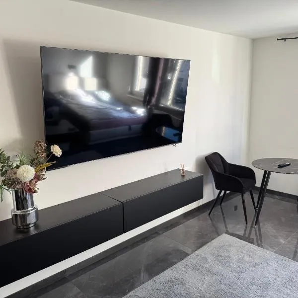 Apartment Vienna, hotel in Wenen