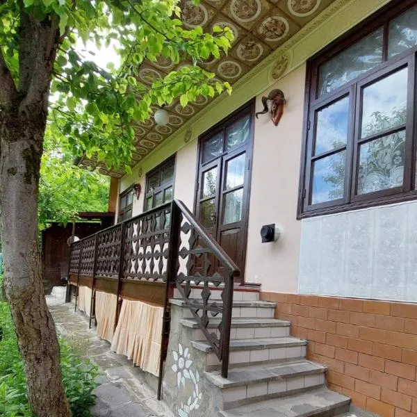 Alex，位于博尔若米的酒店