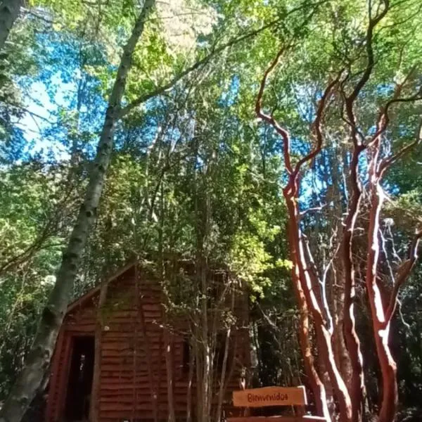Cabaña Arrayan, готель у місті Пукон