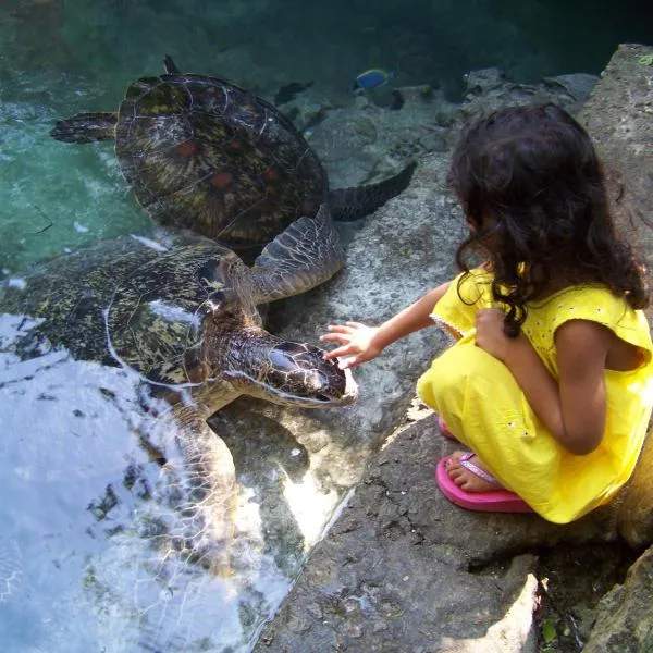 Baraka Aquarium Bungalows, khách sạn ở Nungwi