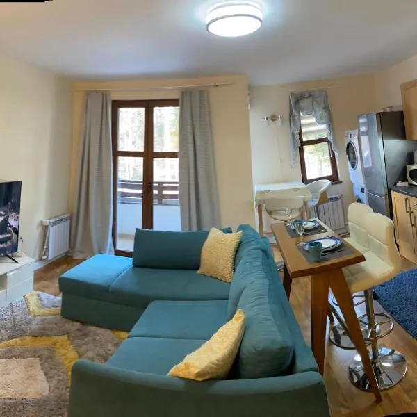 Ski to door at Mountain View 1BR condo Bansko, hotell sihtkohas Bansko