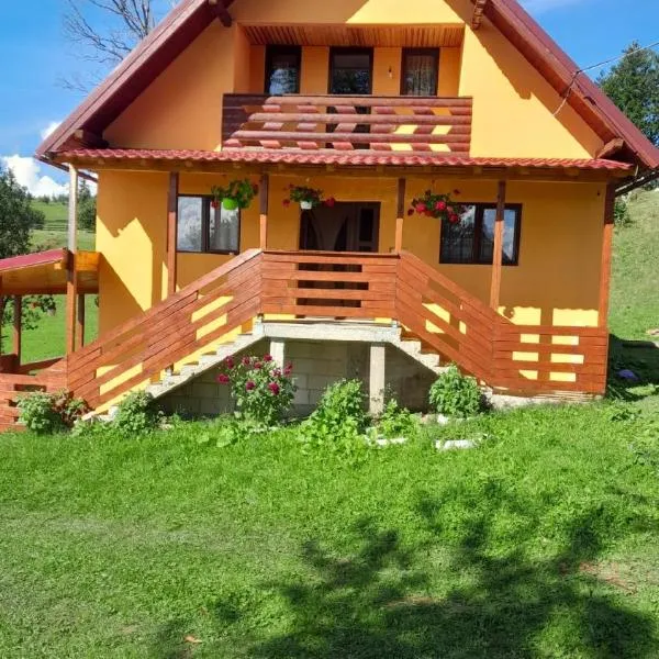 Cabana Diana Dealul Frumos、Hănăşeştiのホテル