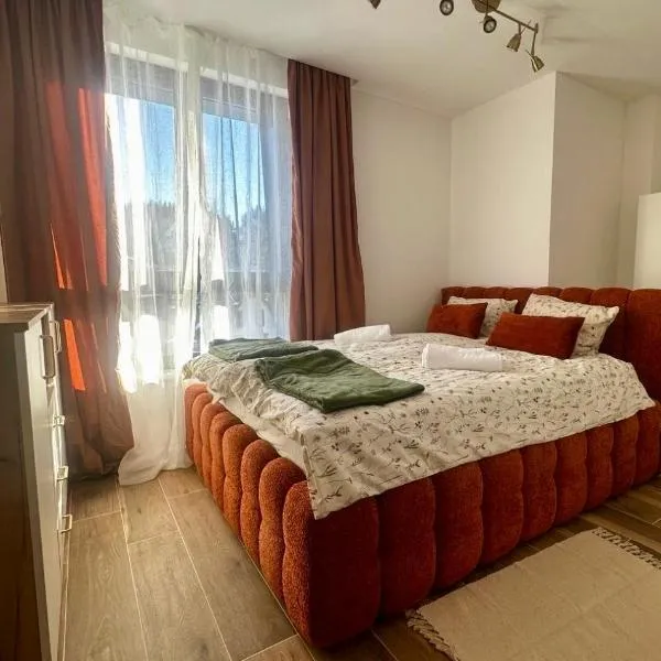 Casa Familia Jahorina，位于亚霍里纳的酒店