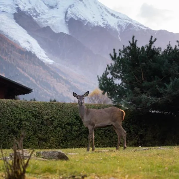 Chalet la Pagode, vue Mont-Blanc et jardin privé, hotel v destinaci Chamonix-Mont-Blanc