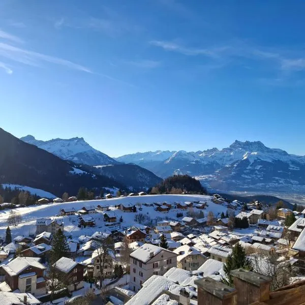 Le Nid d'aigle apt 405 Leysin centre avec tarifs dégressifs et forfait piscine sauna jacuzzi en option,位于莱森的酒店