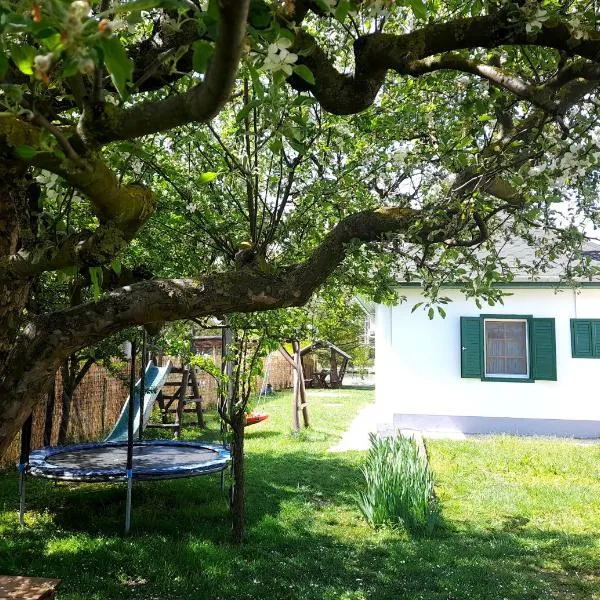 Zöld Orom Vendégház, hotell Békésszentandráses