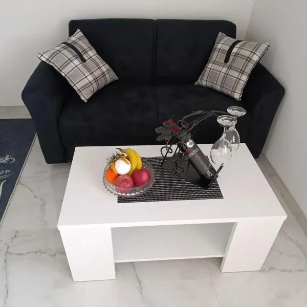 Garfield Family Apartman 2, hotel in Soko Banja