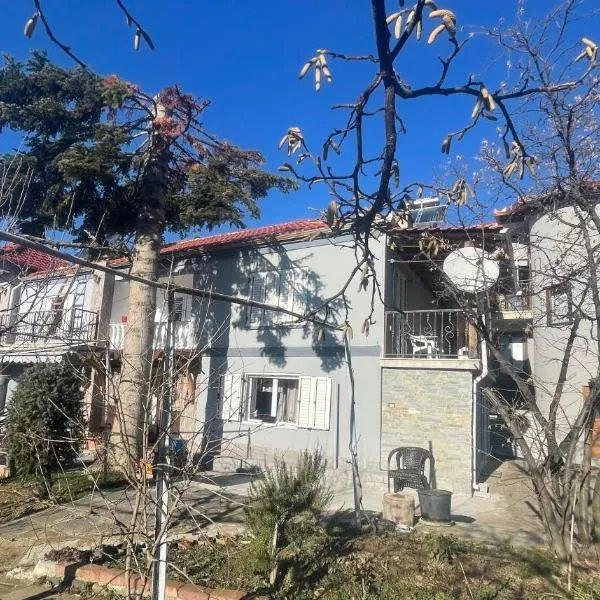 Vila Tradicionale Violeta Korce, hotel in Korçë