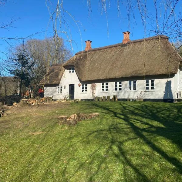 Cozy cottage getaway Holse, hotel v destinaci Brenderup