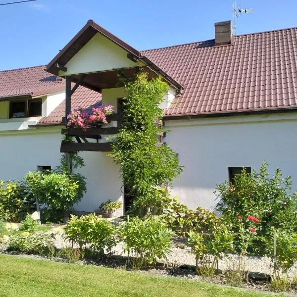 Noclegi i sauna w starym domu, hotel in Pławnica