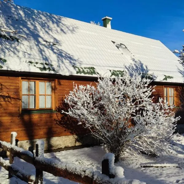 Wooden veggie house Koliba near Plitvice Lakes, hotel em Plaški