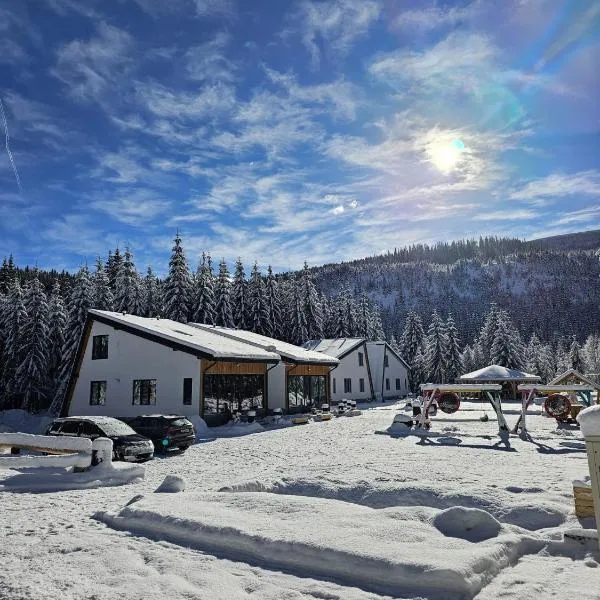 Gray River Resort, hotel v destinaci Obarsia-Lotrului