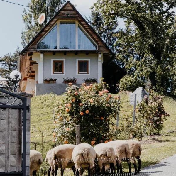 Ferienhaus am HerbstHof, hotell sihtkohas Leutschach