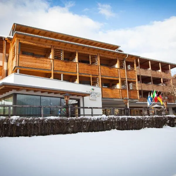 Olimpionico Hotel, hotel in Castello di Fiemme