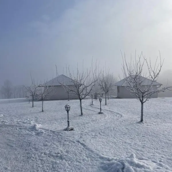 Apartmani Mladenovac, hotel in Mladenovac