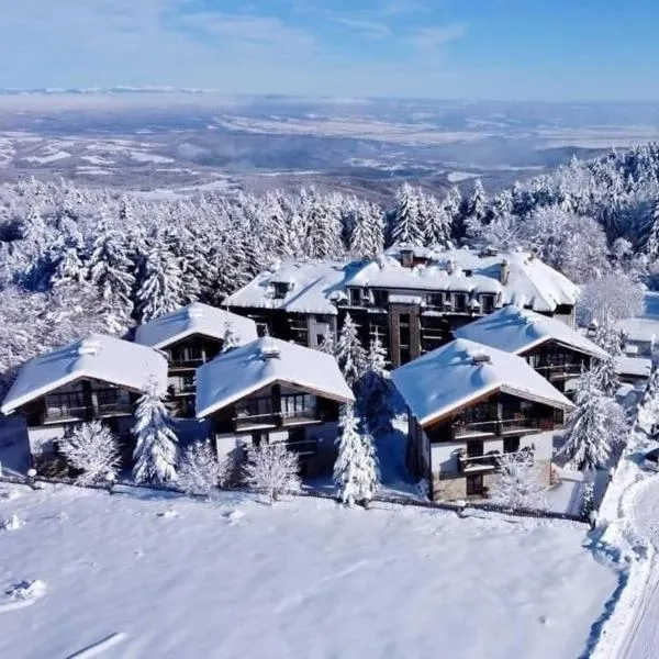 Picturesque Apartment in beautiful setting surrounded by Mountain and Ski Slope Views, Hotel in Borowez