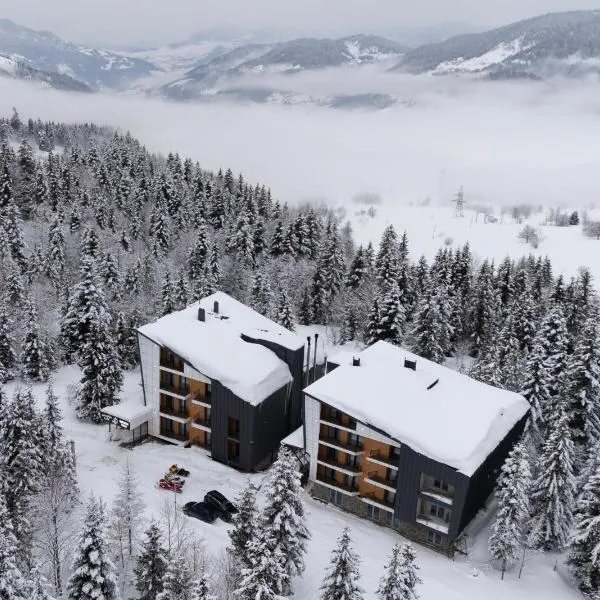 Gоderdzi Twins Hotel, hotel en Goderdzi