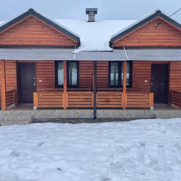 Apartman Vuk, Crni Vrh - Stara planina，位于Crni Vrh的酒店