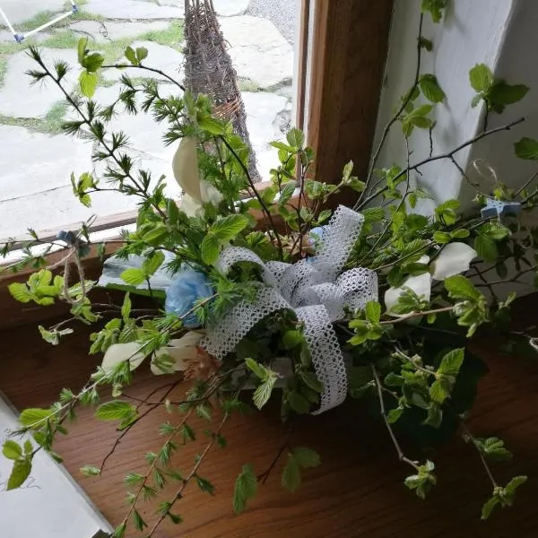 PENZION BAŠKA VODA CZ, hotel in Baška