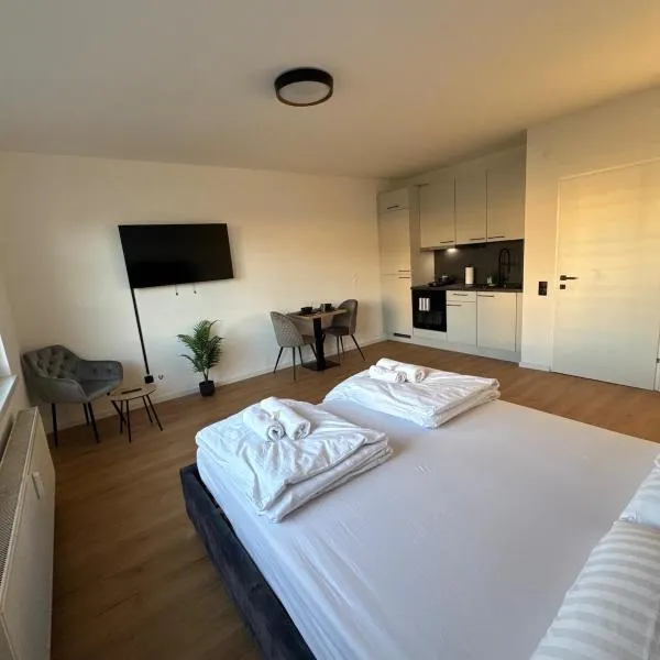 Union Suite Apartment Near Train Station，位于林茨的酒店