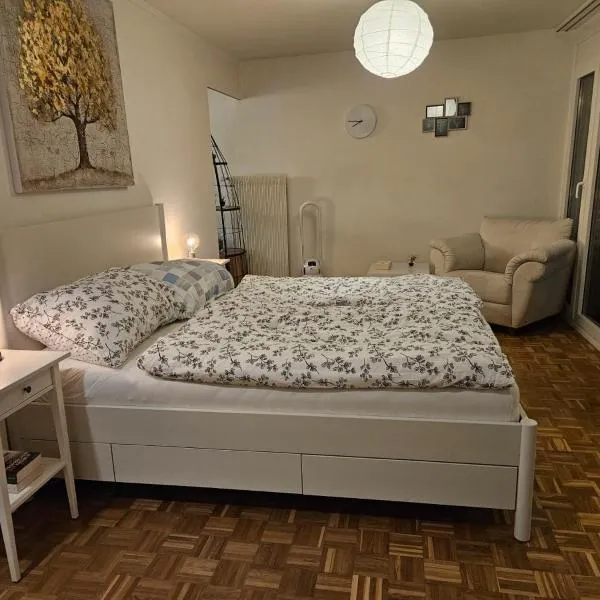 Schöne Wohnung in der Innenstadt, hotelli kohteessa Luzern
