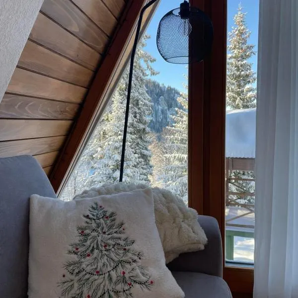 Vikendica - uz stazu、ヤホリナのホテル