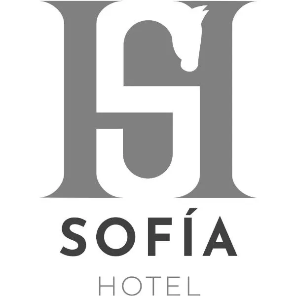 SOFIA Hotel – hotel w mieście San Miguel Tlamahuco