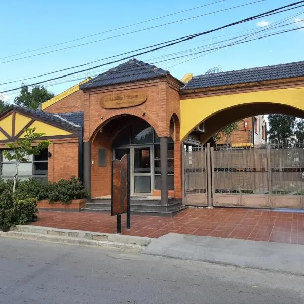 Apart Hotel Hualta Picum, hotel v destinaci San José de Jáchal