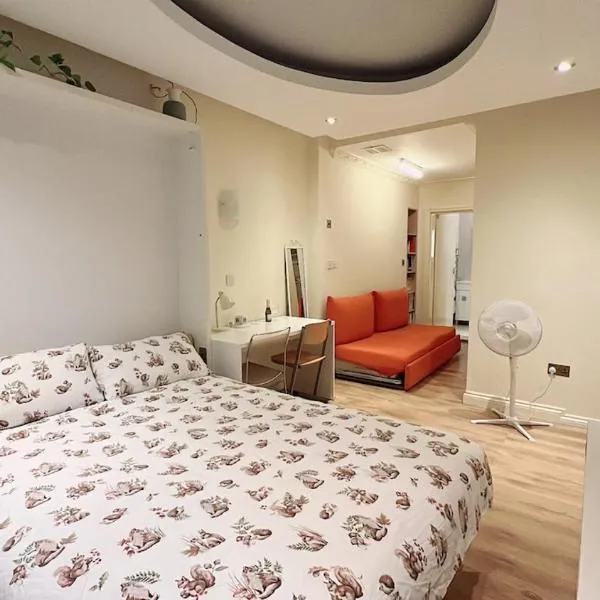 Spacious Studio Soho Central London, hotel in London