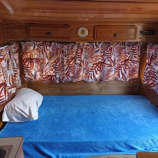 Peaceful and Cozy Camper in the City Center with Private Patio, hotel in Cabo San Lucas